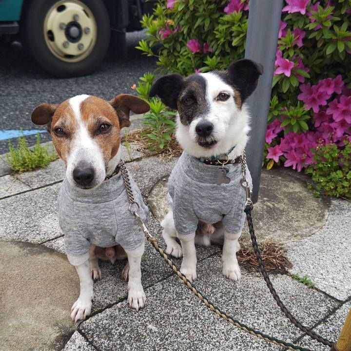 3c1c54a8 8859 446d 89d8 7bed35c8c4c0 1745446322250