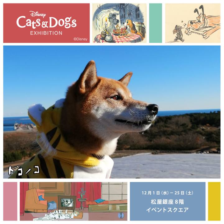 3c1c5960 eb2e 4116 b789 34d6137b34c2 1639999386881