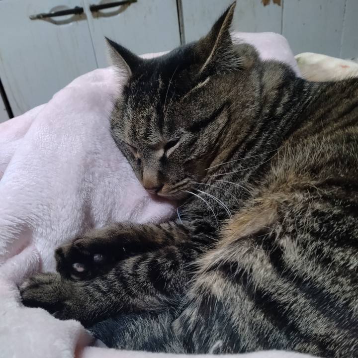 3c1cb11d 4f6c 4ef7 8391 f9f887012d7a 1676639977968