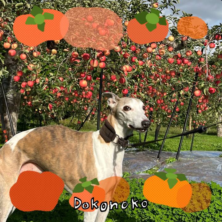 3c1cb9ee 2395 4241 afd1 a6524bbf10b6 1761121411935