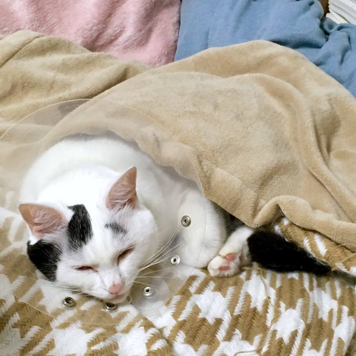 3c1cda72 a6d1 4a5e 8f66 f65c17f213f3 1567763383106