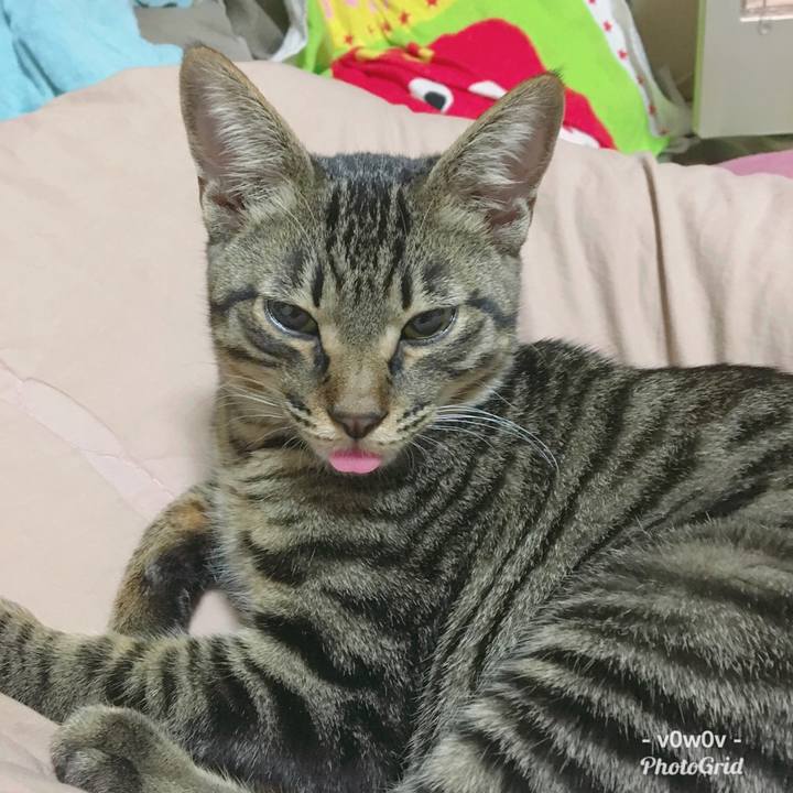 3c1cf080 365c 4ffa acc4 4ff6a74d0546 1543755220362