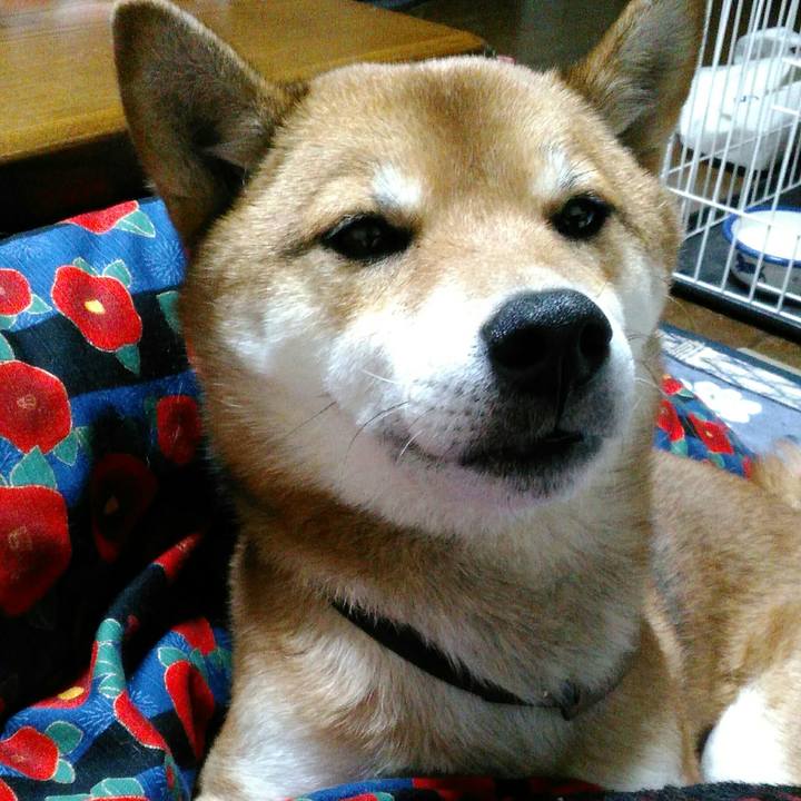 3c1d3f15 2e27 4f74 bd97 c84eb4f99da3 1515416920899