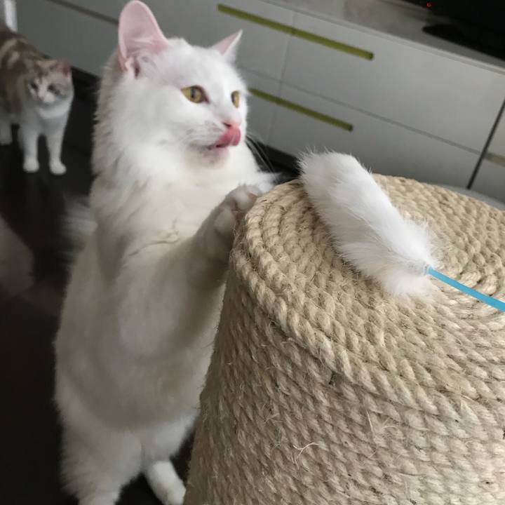 3c1d6bc4 c661 49c3 b2ec c5f9b95808ed 1538089756208