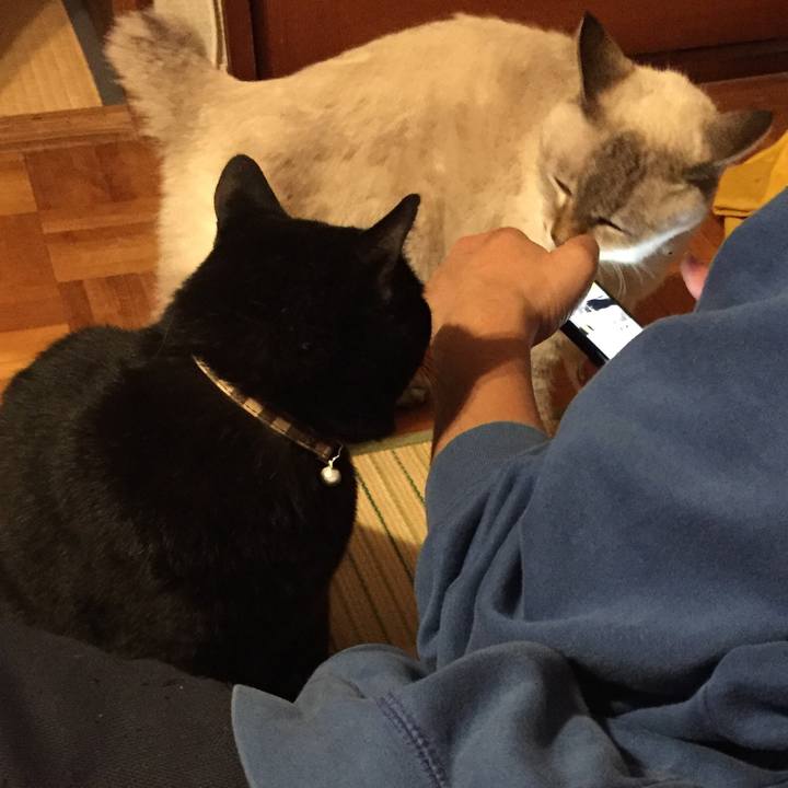 3c1d70f1 53ec 4050 bdc8 f04fbde7365e 1571745229612