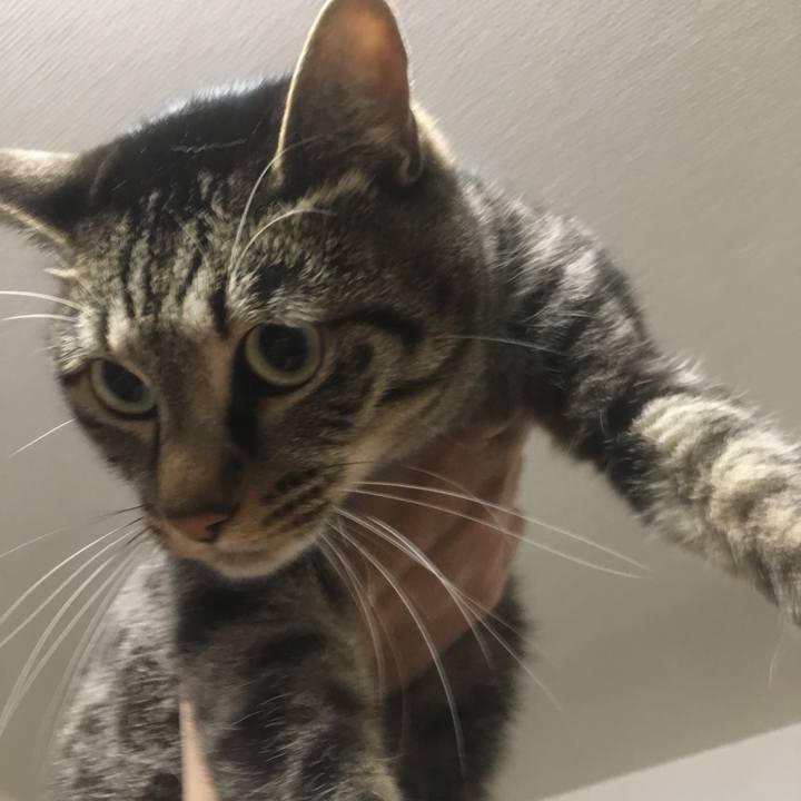 3c1d85b3 63a1 4db5 9210 c87cee62abcf 1554563504984