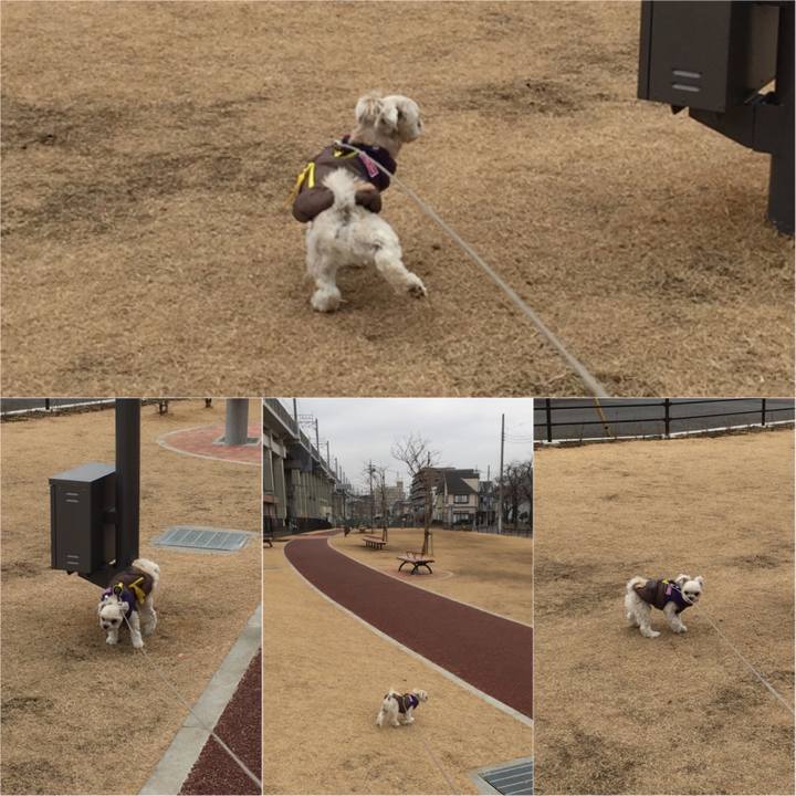 3c1d96d8 4b99 4ad6 b58e e81bfaba7a22 1516436907273