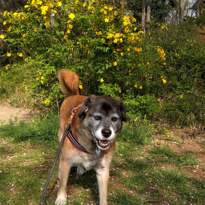 3c1da491 3e0b 4308 8ab7 df9125857097 1522627935348