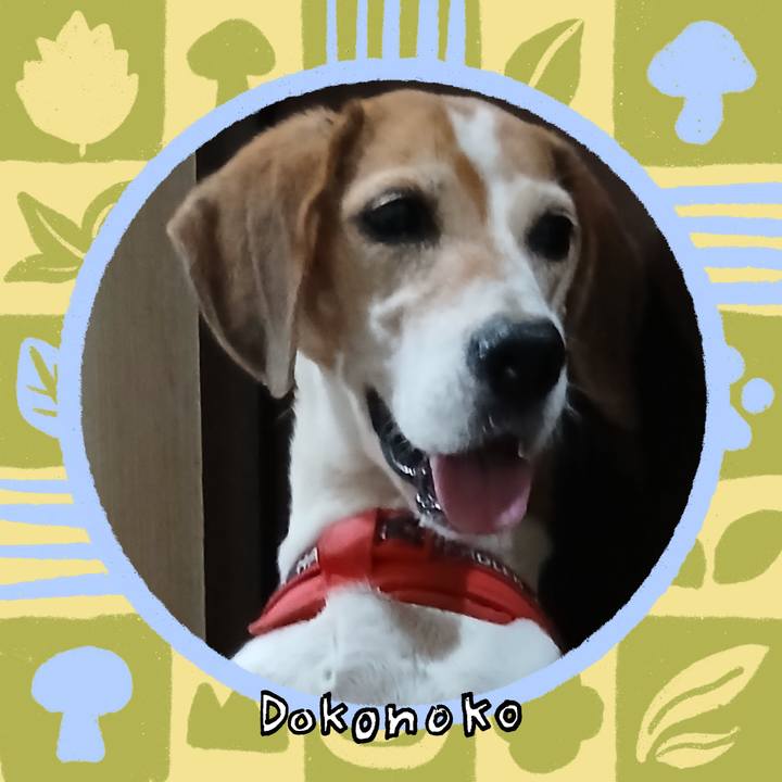 3c1dabe0 a50c 4388 9110 0f43547bff7b 1764066792074