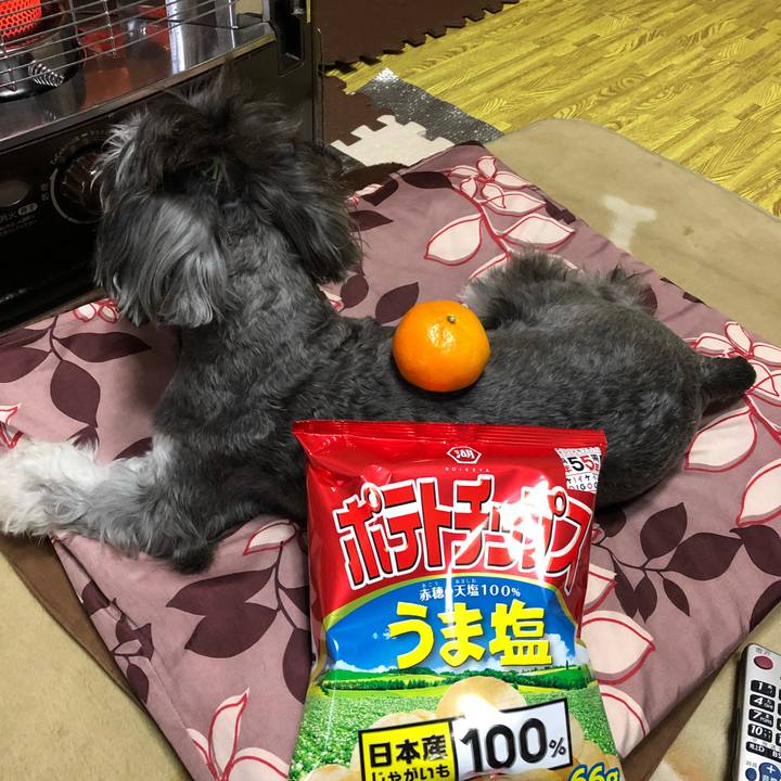 3c1e1ede 439c 4c63 83ae ef9c55400daf 1513509552338