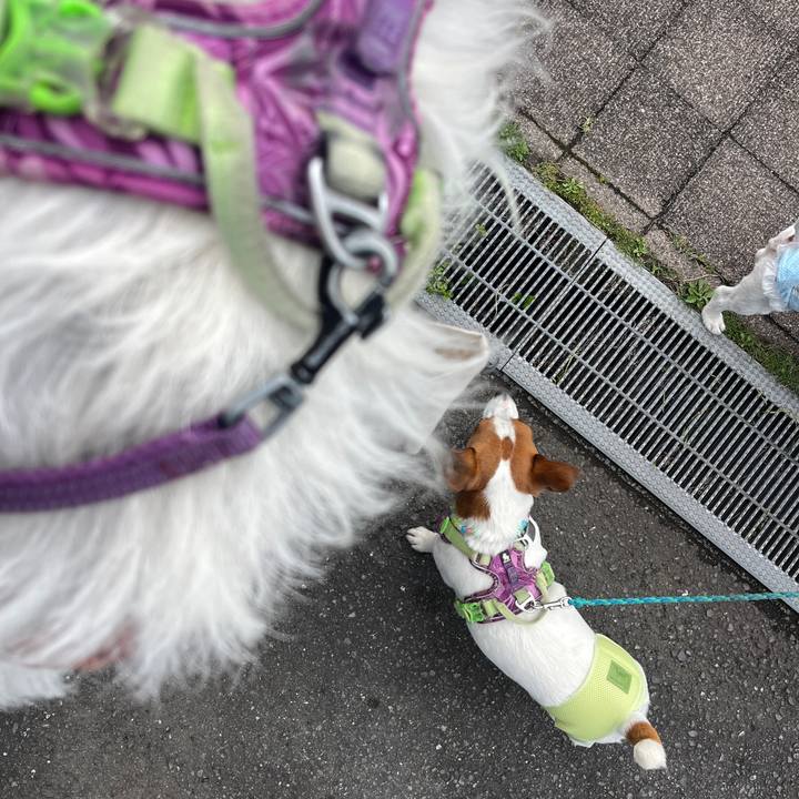 3c1e2f68 331b 4e5b af95 3f037346cb54 1777022234111