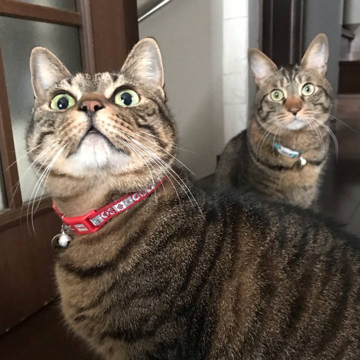 3c1e3f36 8257 4b1c ab7d 239902b72f0c 1554558541550