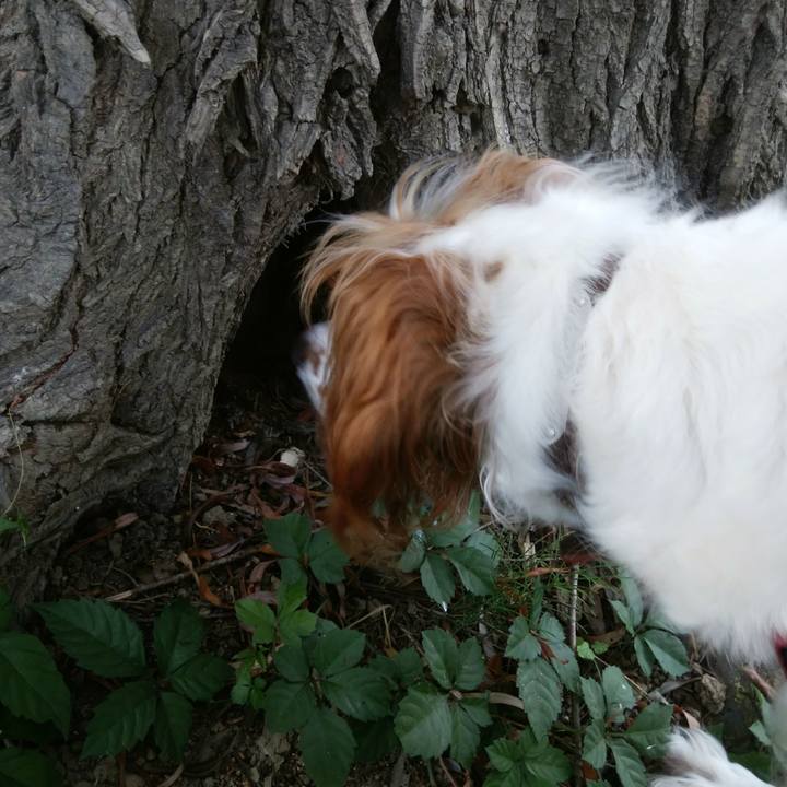 3c1e41c2 f2e9 469c ba57 0a2234874cd1 1535458184260