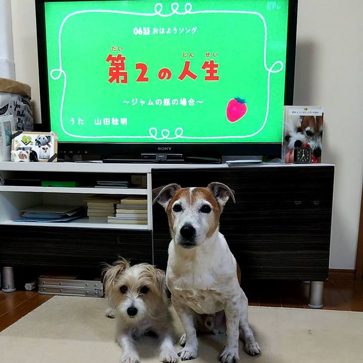 3c1e480b 5172 4fc4 96a7 730f04283175 1552603779250