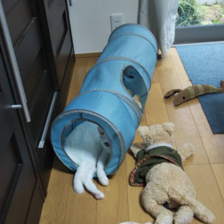 3c1e4e6d a99d 472c b404 e39695384b5c 1637538130142