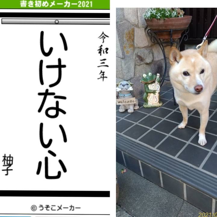 3c1e5c41 3071 4357 a702 95ac4286b7ed 1609921091759