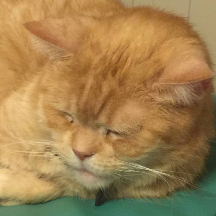 3c1e636e d26a 44ec 8f2b e66cc5435b59 1559292999897