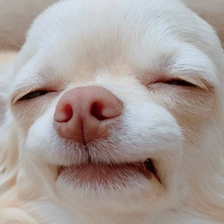 3c1e7eef 5641 42f6 aeb9 29d7af546726 1612526146769