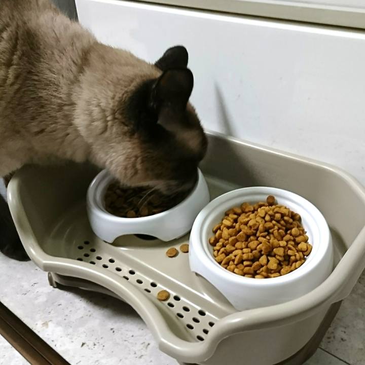 3c1e9ab0 5c87 42fb 929b df98a6fbe5c3 1550185397581