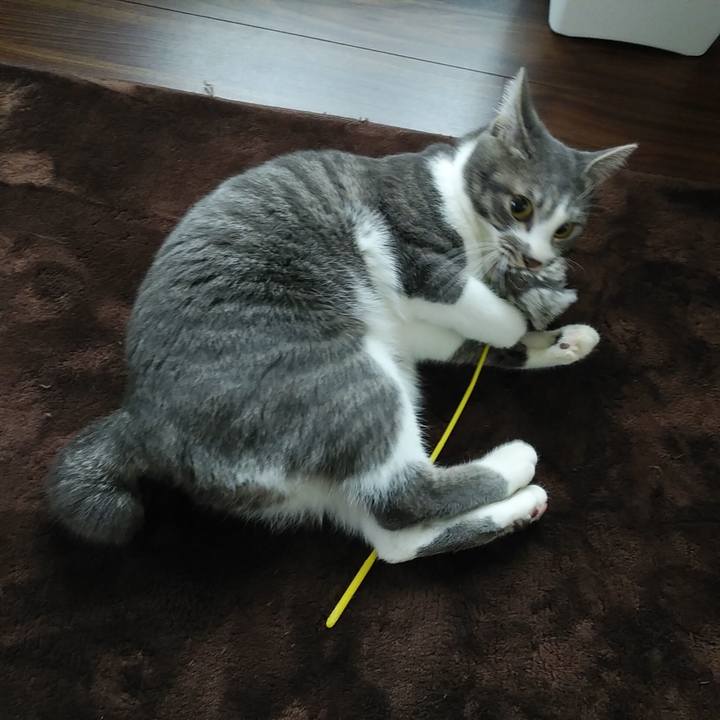 3c1e9f0c ef4d 492f 8165 3d43b2bc7d50 1582932087968