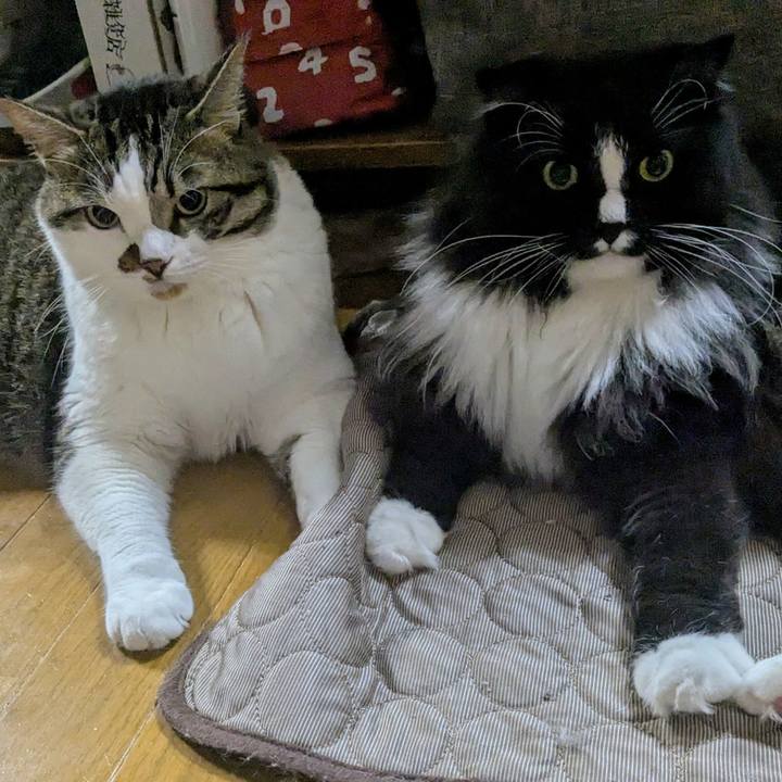 3c1eab77 f441 4746 a5bf 0cb8c5da27ea 1753454822325