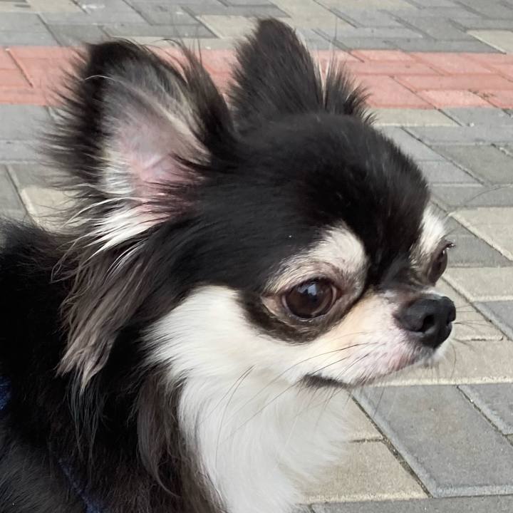 3c1ecbad 5da4 43b1 9572 c3b99f40c678 1634359757809