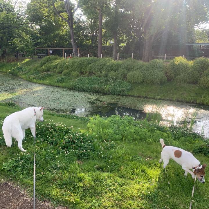 3c1eeca7 0ecd 4d7a 8959 b2677c494ed2 1560033217040