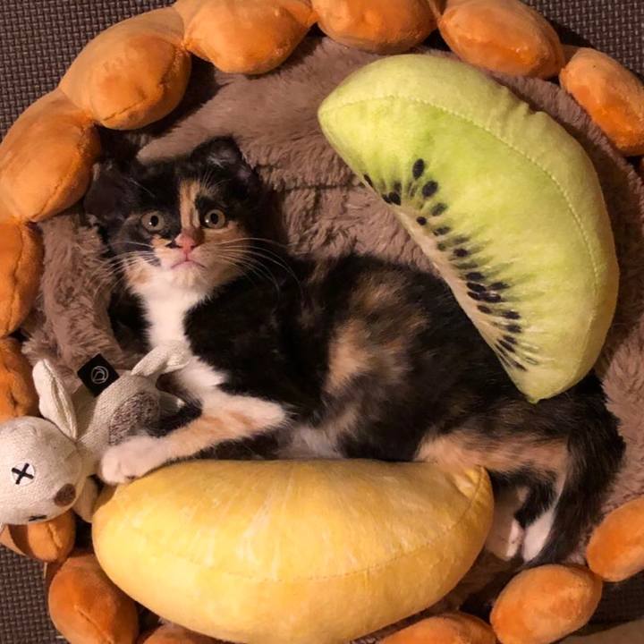 3c1f3416 cf4d 4190 8559 f8309ecc4ba8 1624094724188