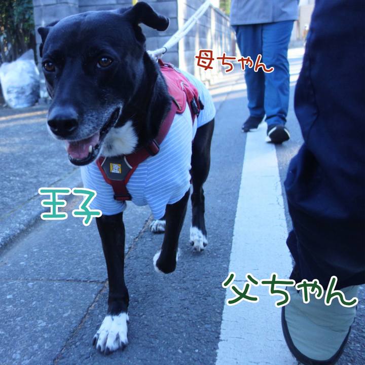 3c1f466b 8bf9 48e9 8d7d 2b093e3cf062 1672104815981