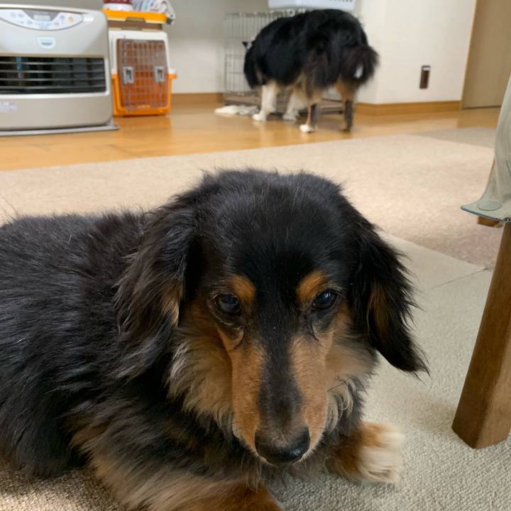 3c1f55ef 3e71 4105 850c 49261ee5a170 1551390974179