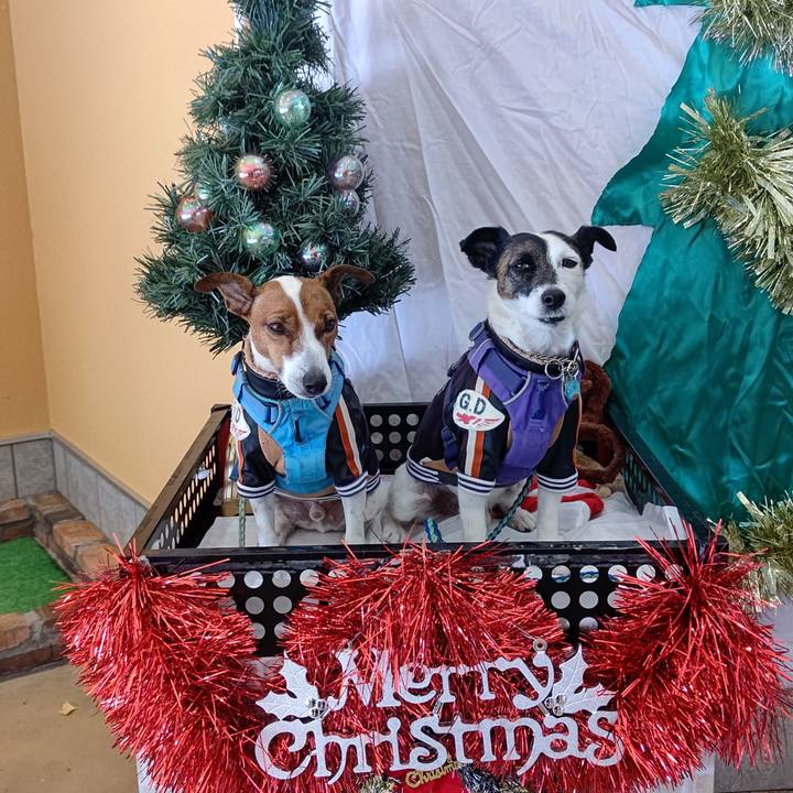 3c1f7f56 7713 4118 abf5 cb3339159695 1671949022203