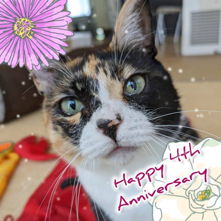 3c1f9e85 e503 47bf a371 569d787cf562 1719466818998