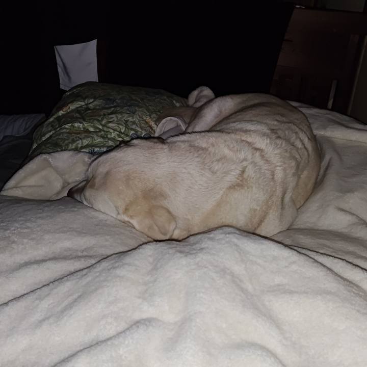 3c1fba4d 506e 49d4 bdc7 bcc73403cffe 1734070930242