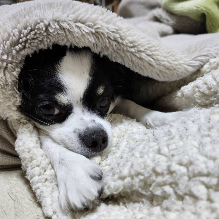 3c200b74 2892 4a00 b38a 15fbb06b4316 1762816937262