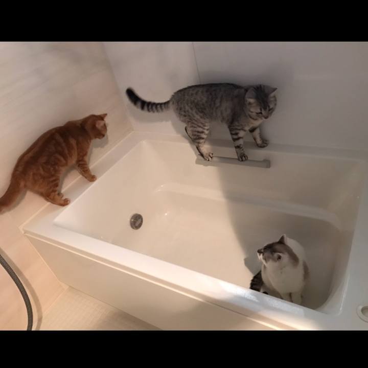 3c20197d 0605 42fb a4dc f2fd9b756bc9 1519516891919