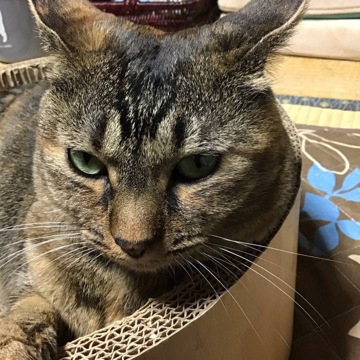 3c204dd7 6b5d 407f 9af9 b9c0bb2729cc 1727777753950