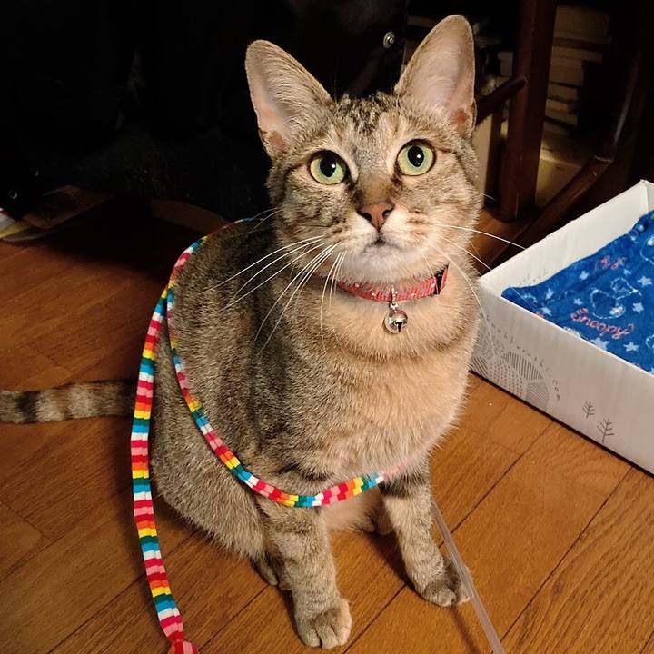 3c204e64 2b79 4157 aba3 5c658ba5ee03 1588593351167