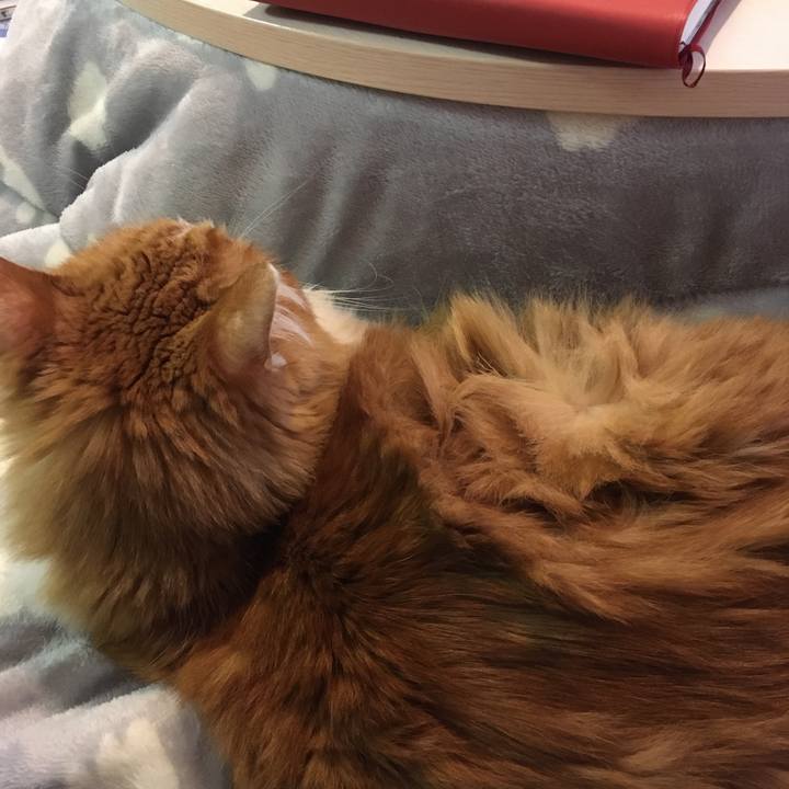 3c2056dd 4574 4738 995b ff8a4c8bec8e 1574052747857