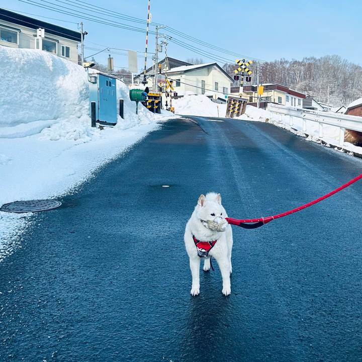 3c207fd0 7ead 46ad a2a5 50f0e633cdd7 1710455904621