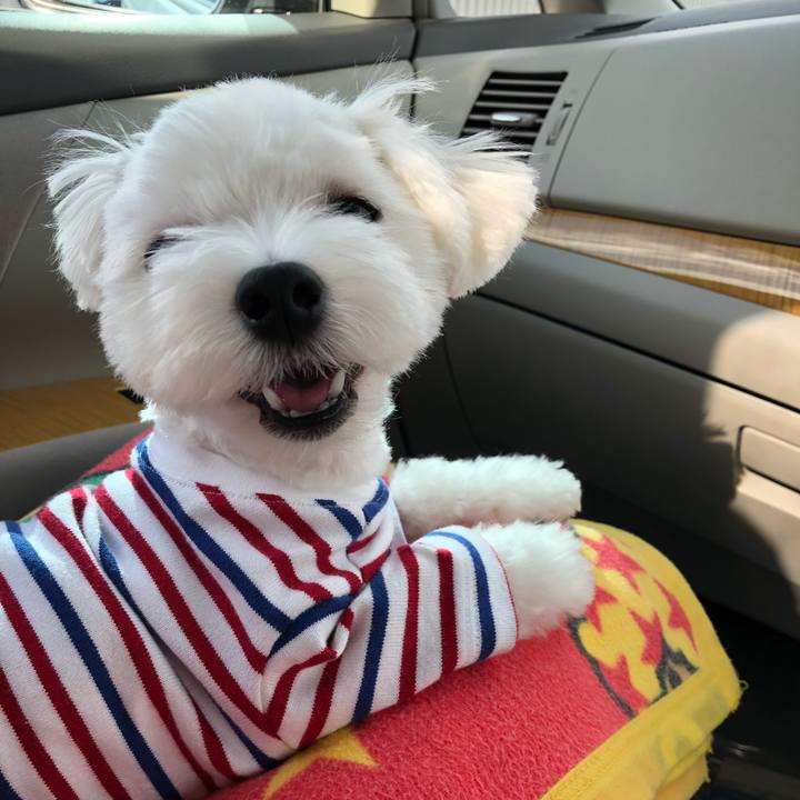 3c2096d8 e809 40d7 84c8 1b6880b4b582 1534640382507