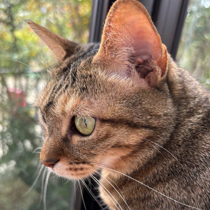 3c20c2fc 6530 400b 8711 a5ec954d7b6e 1709953325091