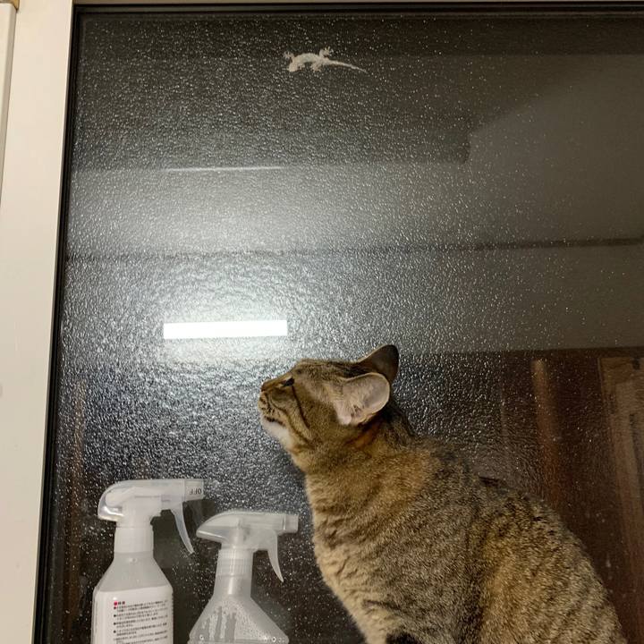 3c20dff1 214c 4d73 914e bf712ffdb12b 1596199157917