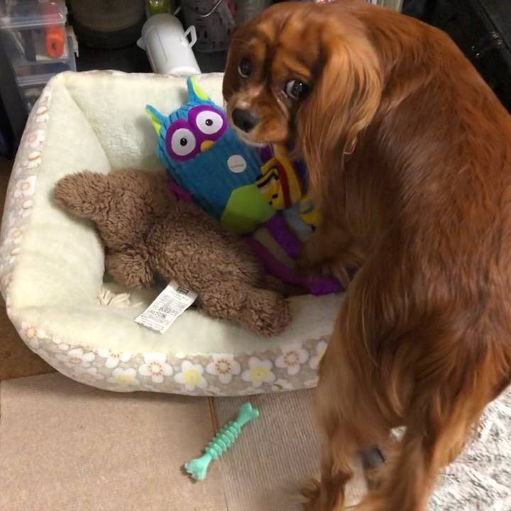 3c20fff7 b58e 460b ab31 b06a43a4d1c0 1543101088986