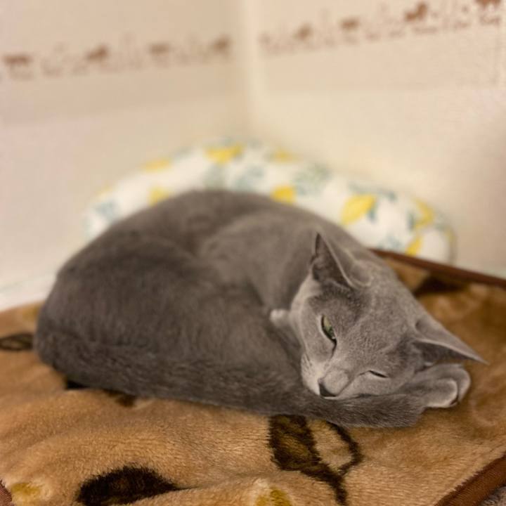 3c21747b 899e 4c54 b6a4 63db4257e970 1665665378553