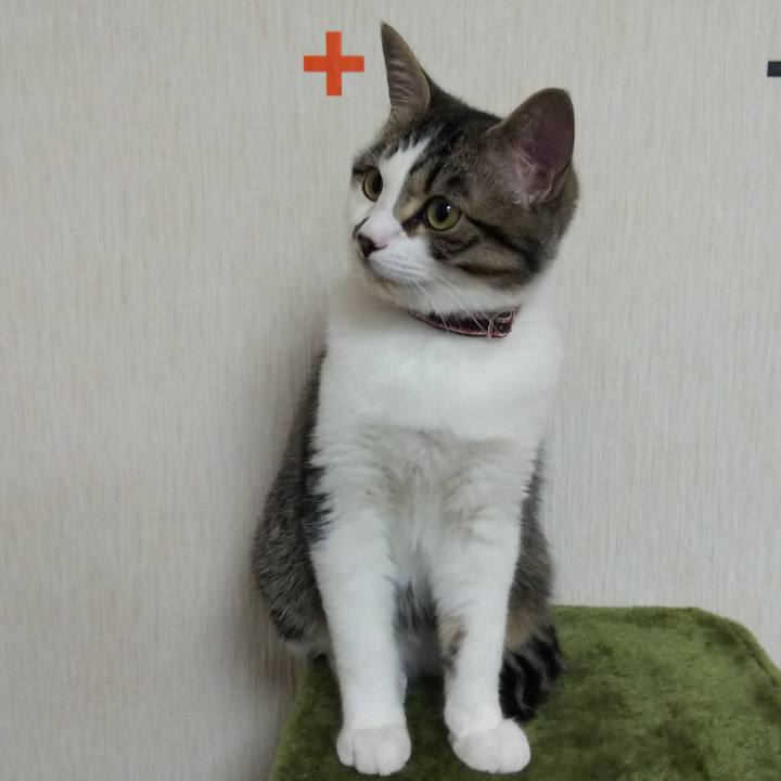 3c21c06b 844e 4213 b3f3 7c00339dc0c3 1615899409954