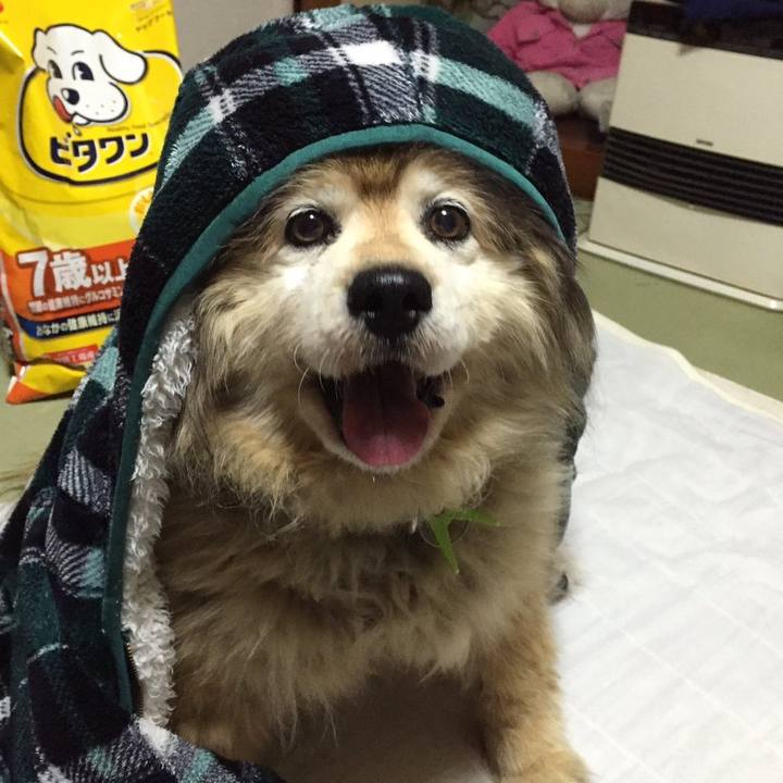 3c21f4e0 8d52 4b91 970b bf8acada877d 1660926122831