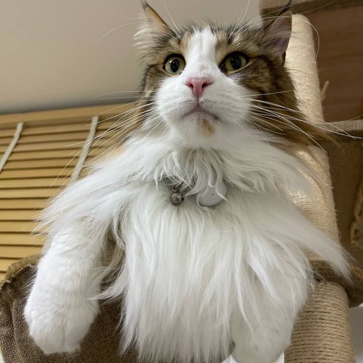 3c220bde 7d4a 4ca9 8f75 ad86144c311d 1677787712154