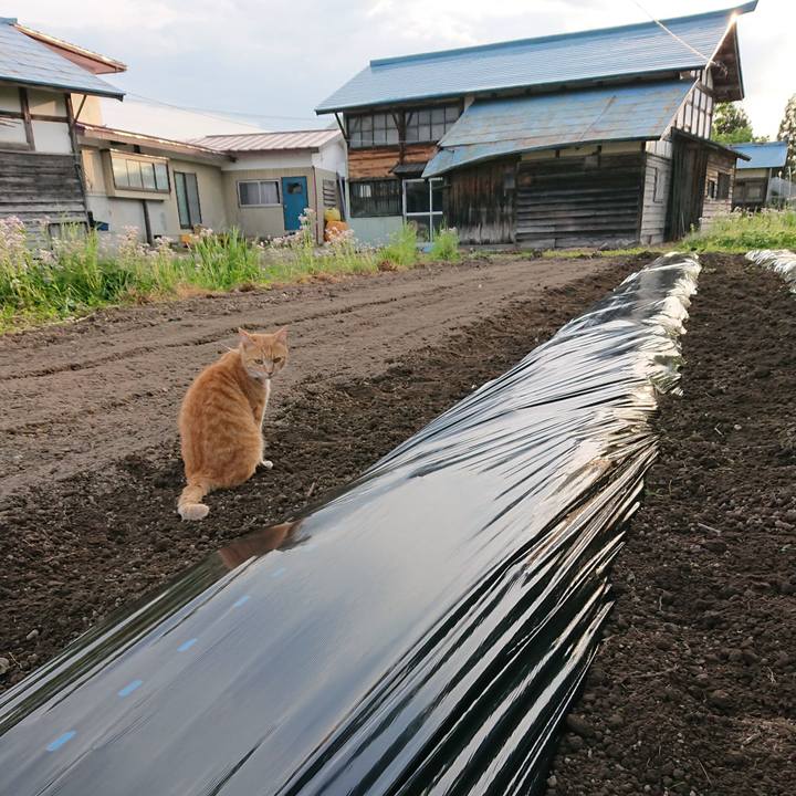 3c220db4 9b73 4e82 b786 5b3cb1812a09 1590311225566