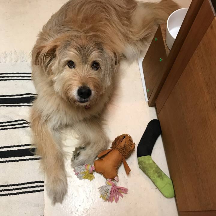 3c221fe5 207d 47f0 adf0 df92636f3354 1561982887186