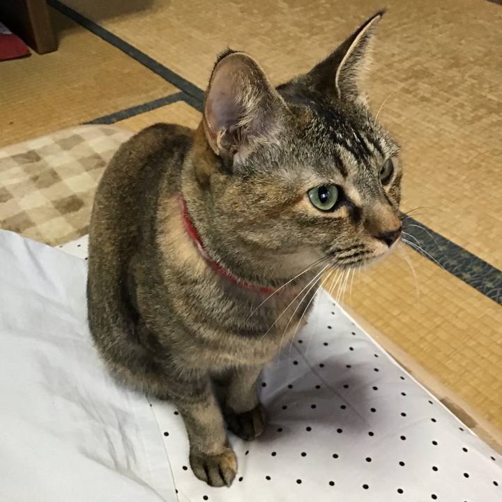 3c223a2a d521 421e 96c9 125bc73f3c4d 1608505963983